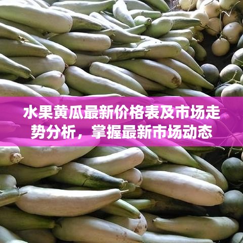 水果黄瓜最新价格表及市场走势分析，掌握最新市场动态