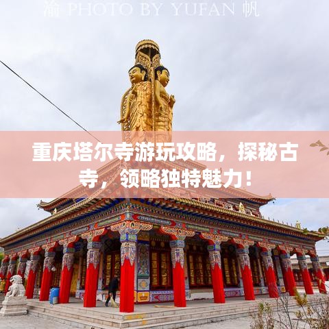 重庆塔尔寺游玩攻略，探秘古寺，领略独特魅力！