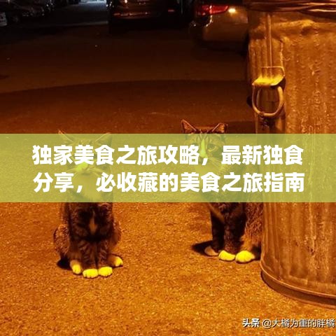 独家美食之旅攻略，最新独食分享，必收藏的美食之旅指南