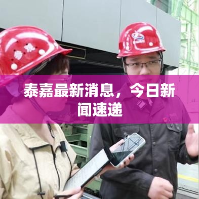 泰嘉最新消息，今日新闻速递