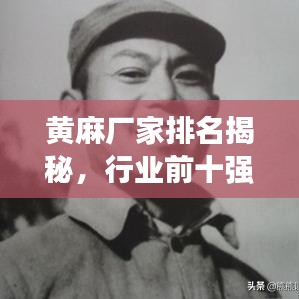黄麻厂家排名揭秘，行业前十强榜单，领略佼佼者风采