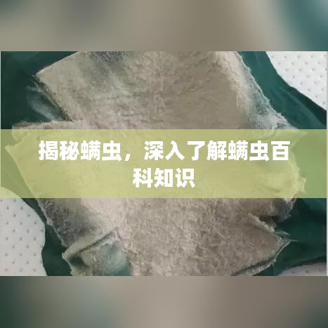 揭秘螨虫，深入了解螨虫百科知识