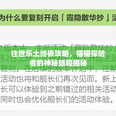 往世乐土终极攻略，猫猫探险者的神秘旅程揭秘