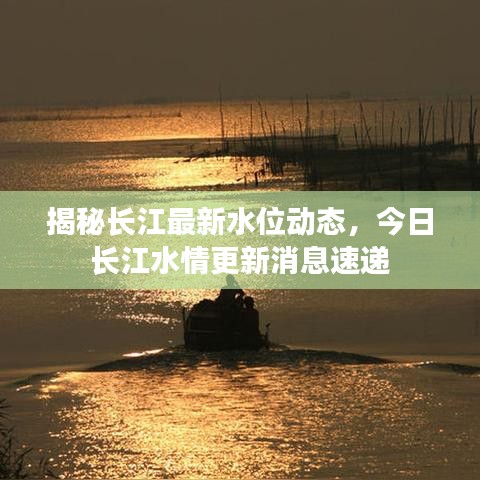 揭秘长江最新水位动态，今日长江水情更新消息速递