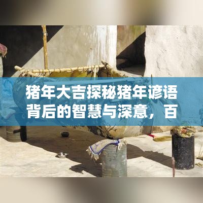 猪年大吉探秘猪年谚语背后的智慧与深意，百度带你领略千年文化魅力