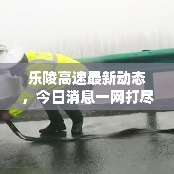 乐陵高速最新动态，今日消息一网打尽！