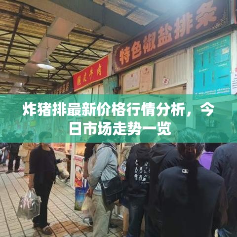 炸猪排最新价格行情分析，今日市场走势一览