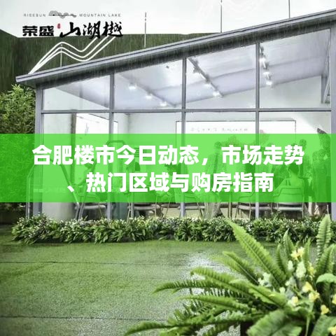 合肥楼市今日动态，市场走势、热门区域与购房指南