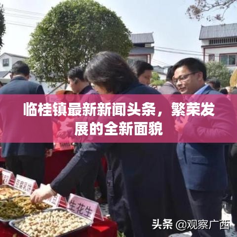 临桂镇最新新闻头条，繁荣发展的全新面貌