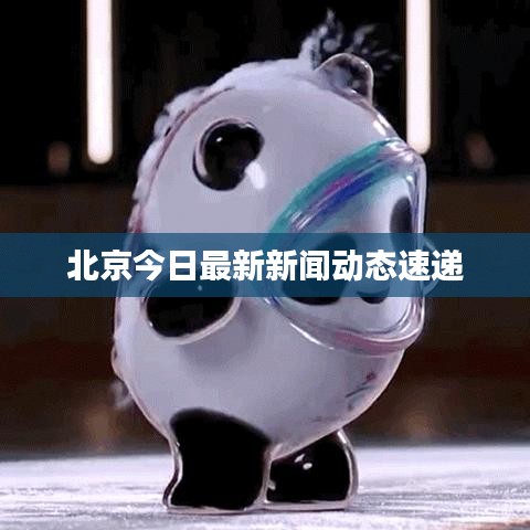 北京今日最新新闻动态速递