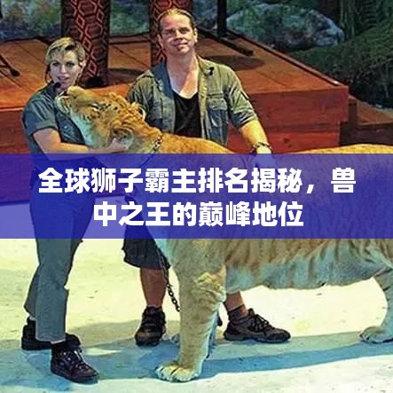 全球狮子霸主排名揭秘，兽中之王的巅峰地位