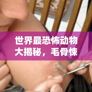 世界最恐怖动物大揭秘，毛骨悚然的神秘生物排名榜单！