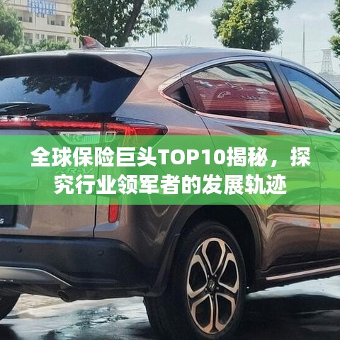全球保险巨头TOP10揭秘，探究行业领军者的发展轨迹