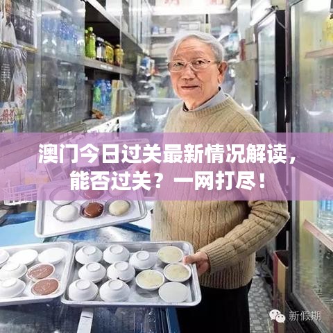 澳门今日过关最新情况解读，能否过关？一网打尽！