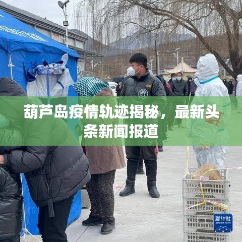 葫芦岛疫情轨迹揭秘，最新头条新闻报道