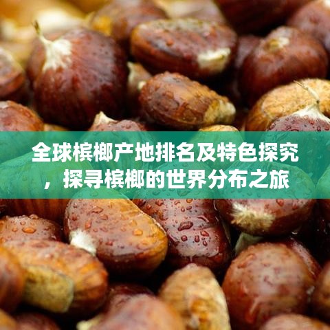 全球槟榔产地排名及特色探究，探寻槟榔的世界分布之旅