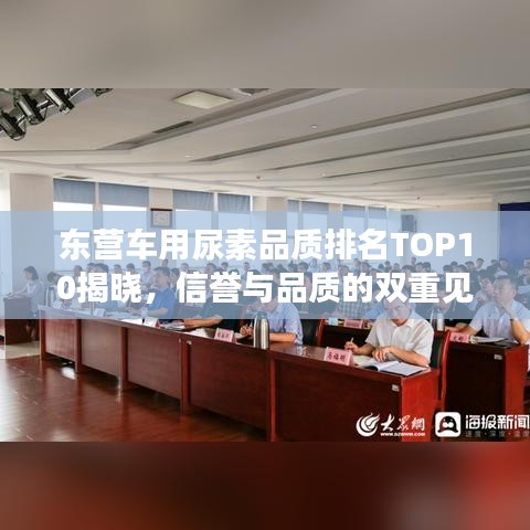 东营车用尿素品质排名TOP10揭晓，信誉与品质的双重见证！