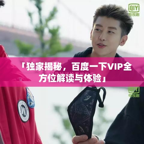 「独家揭秘，百度一下VIP全方位解读与体验」