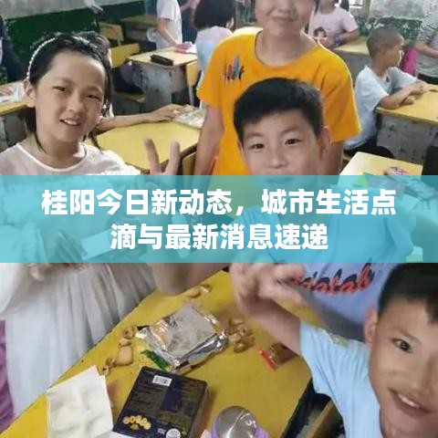 桂阳今日新动态，城市生活点滴与最新消息速递