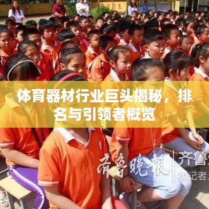 体育器材行业巨头揭秘，排名与引领者概览