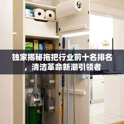独家揭秘拖把行业前十名排名，清洁革命新潮引领者
