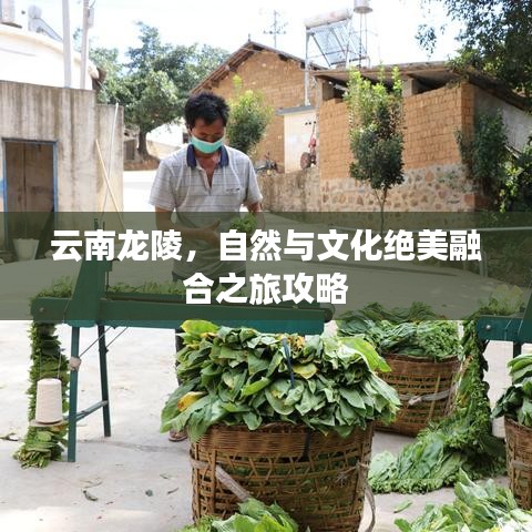 2025年5月8日 第23页
