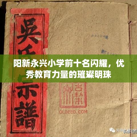 阳新永兴小学前十名闪耀，优秀教育力量的璀璨明珠