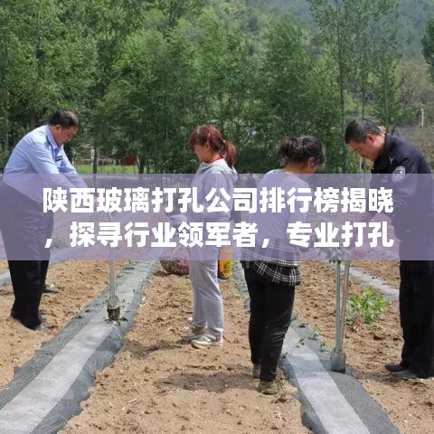 陕西玻璃打孔公司排行榜揭晓，探寻行业领军者，专业打孔服务引领潮流