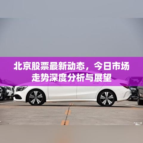 北京股票最新动态，今日市场走势深度分析与展望