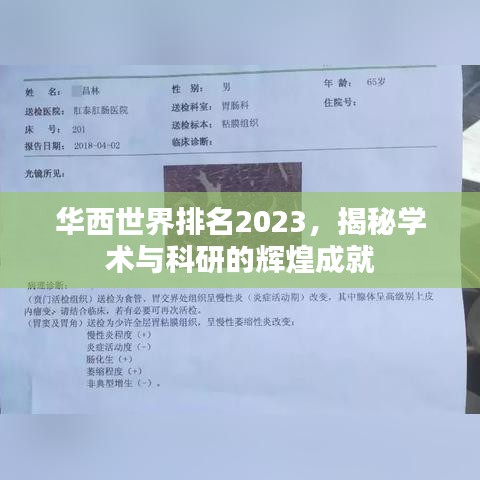 华西世界排名2023，揭秘学术与科研的辉煌成就