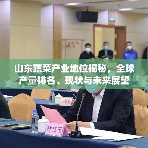 山东蔬菜产业地位揭秘，全球产量排名、现状与未来展望