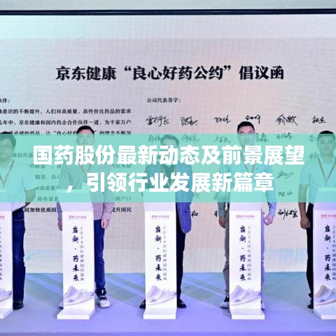 国药股份最新动态及前景展望，引领行业发展新篇章
