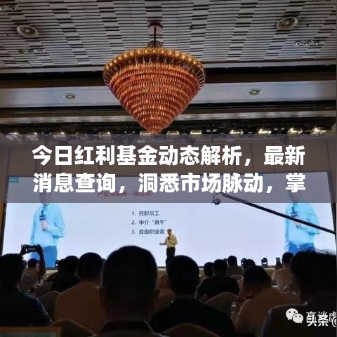 今日红利基金动态解析，最新消息查询，洞悉市场脉动，掌握投资先机
