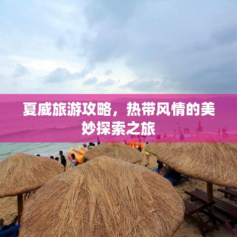 夏威旅游攻略，热带风情的美妙探索之旅