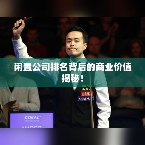 闲置公司排名背后的商业价值揭秘！