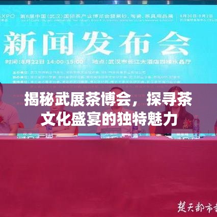 揭秘武展茶博会，探寻茶文化盛宴的独特魅力