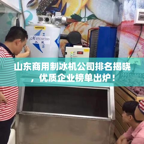 山东商用制冰机公司排名揭晓，优质企业榜单出炉！