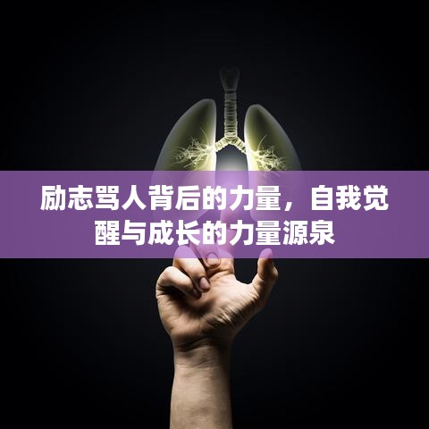 励志骂人背后的力量，自我觉醒与成长的力量源泉