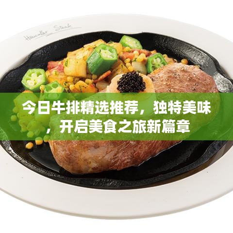 今日牛排精选推荐，独特美味，开启美食之旅新篇章