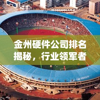 金州硬件公司排名揭秘，行业领军者的成功秘诀！