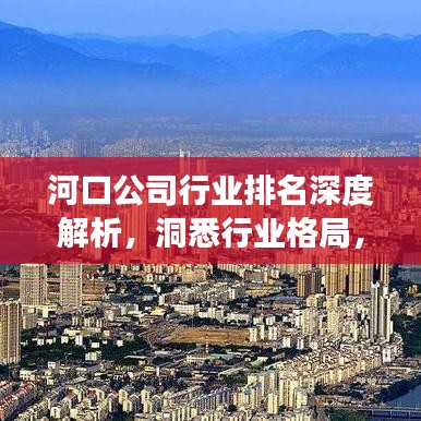 河口公司行业排名深度解析，洞悉行业格局，展望未来发展新趋势