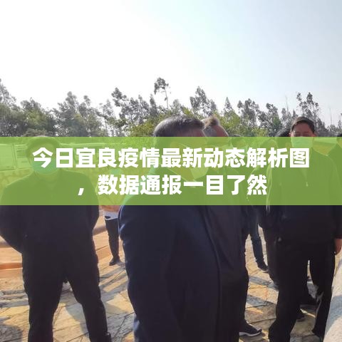 今日宜良疫情最新动态解析图，数据通报一目了然