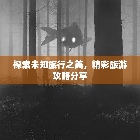 探索未知旅行之美，精彩旅游攻略分享