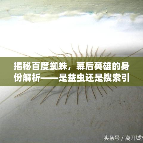 揭秘百度蜘蛛，幕后英雄的身份解析——是益虫还是搜索引擎的守护神？
