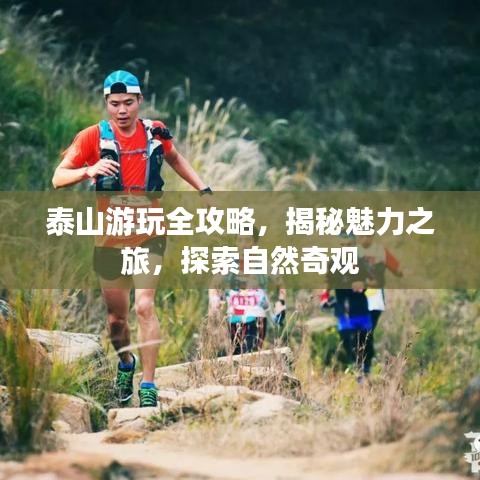 泰山游玩全攻略，揭秘魅力之旅，探索自然奇观
