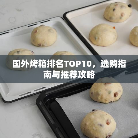国外烤箱排名TOP10，选购指南与推荐攻略
