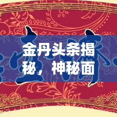 金丹头条揭秘，神秘面纱背后的真相