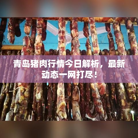 青岛猪肉行情今日解析，最新动态一网打尽！