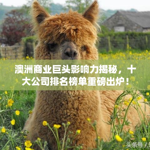 澳洲商业巨头影响力揭秘，十大公司排名榜单重磅出炉！