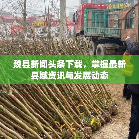 魏县新闻头条下载，掌握最新县域资讯与发展动态